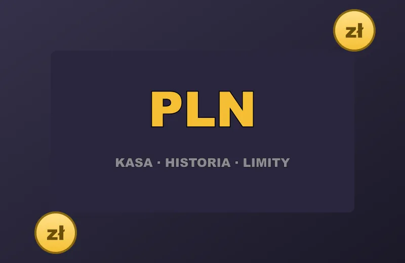 Karta kasy z napisem PLN: kasa, historia, limity